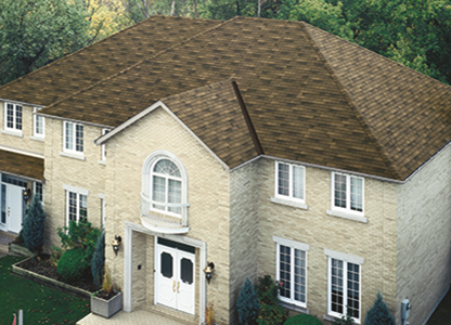 Designer Shingle Images