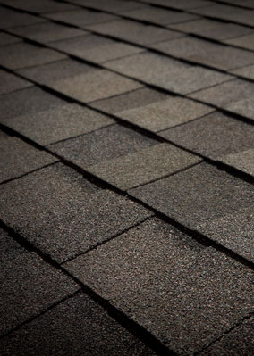 Designer Shingle Images