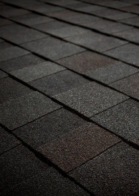 Designer Shingle Images