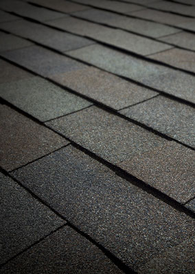Designer Shingle Images