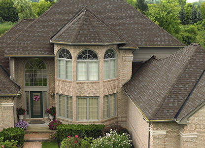 Designer Shingle Images